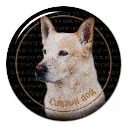 3D sticker Canaan Dog 101 C