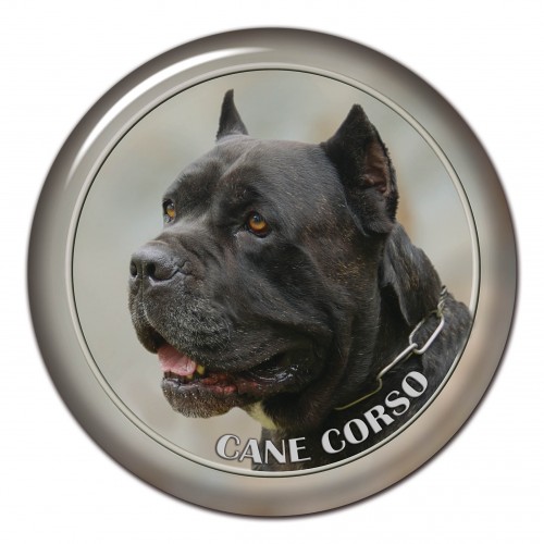 3D sticker Cane Corso 101 C