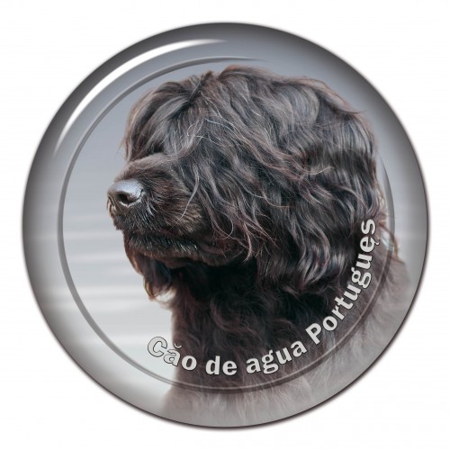 3D sticker Cao De Agua Portugues 101 C