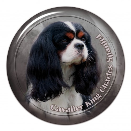 3D sticker Cavalier King Charles Spaniel 101 C