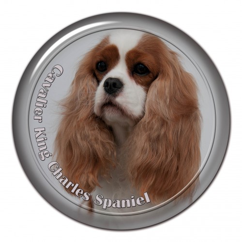 3D sticker Cavalier King Charles Spaniel 102 C