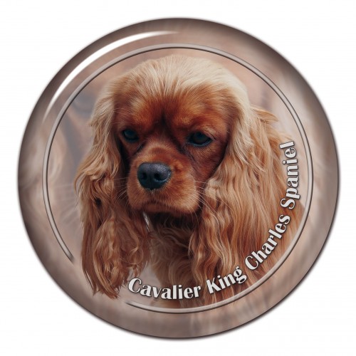 3D sticker Cavalier King Charles Spaniel 104 C