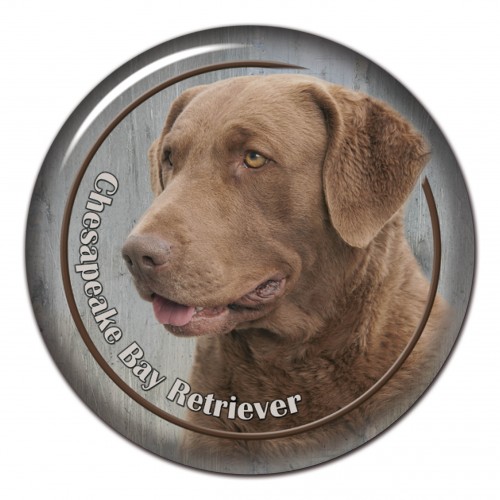 3D sticker Chesapeake Bay Retriever 101 C