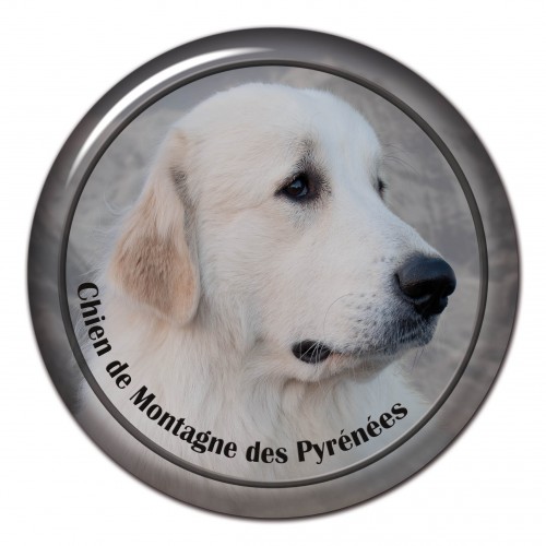 3D sticker Chien Des Montagnes Pyrenees 101 C