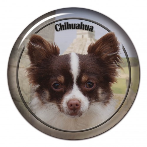 3D sticker Chihuahua 103 C