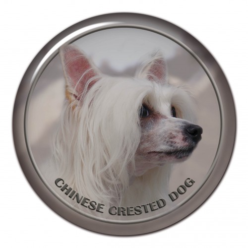 3D sticker Chinese Crested Dog 101 C