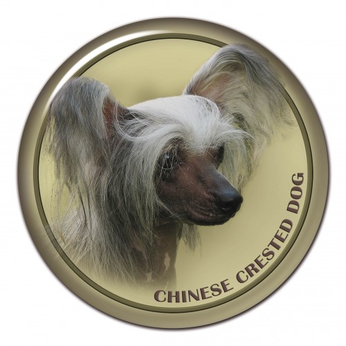 3D sticker Chinese Crested Dog 102 C