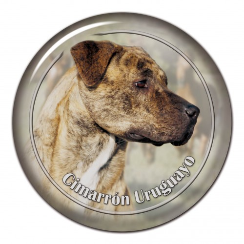 3D sticker Cimarron Uruguayo 101 C