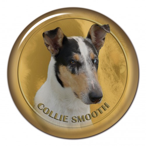 3D sticker Collie Smooth 101 C