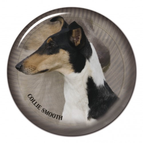 3D sticker Collie Smooth 102 C