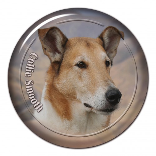 3D sticker Collie Smooth 103 C