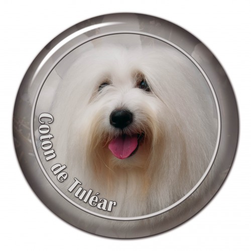 3D sticker Coton De Tulear 101 C