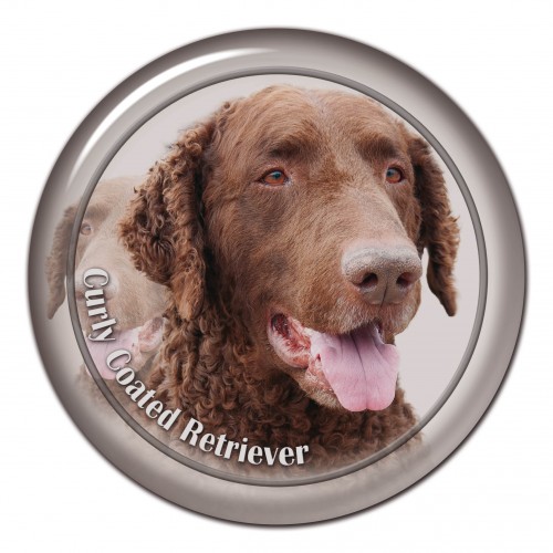 3D sticker Curly Coated Retriever 101 C