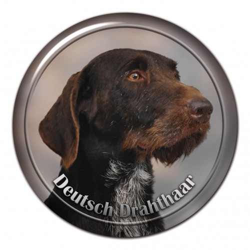 3D sticker Deutsch Drahthaar 101 C
