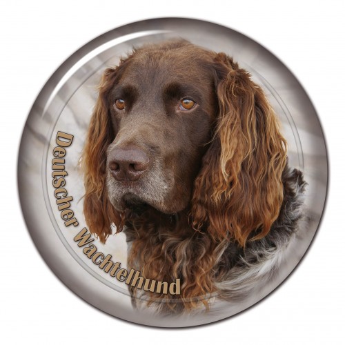 3D sticker Deutscher Wachtelhund 101 C