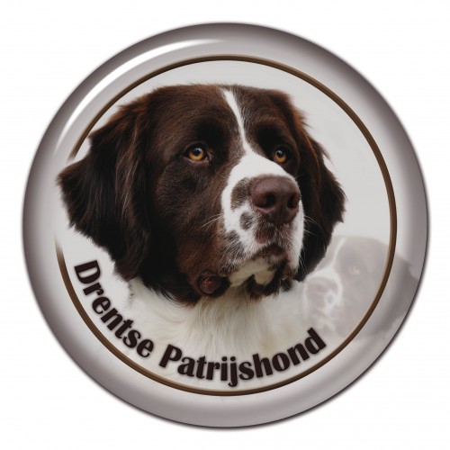 3D sticker Drentsche Patrisijshond 101 C