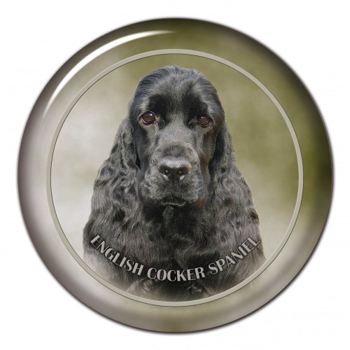 3D sticker English Cocker Spaniel 101 C