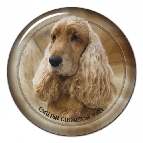 3D sticker English Cocker Spaniel 102 C