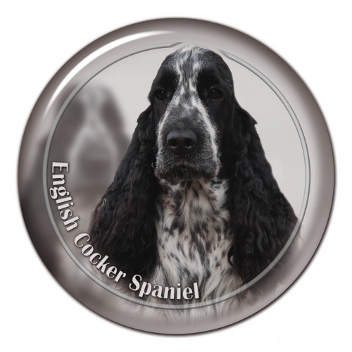 3D sticker English Cocker Spaniel 104 C