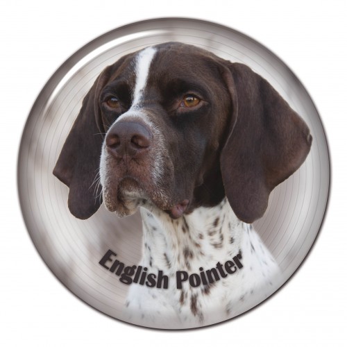 3D sticker English Pointer 101 C