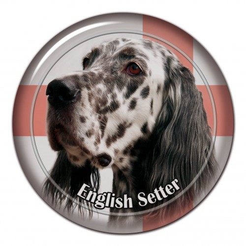 3D sticker English Setter 101 C