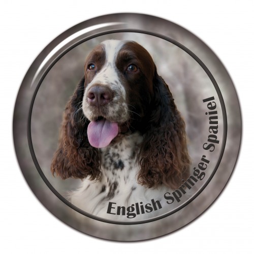 3D sticker English Springer Spaniel 101 C