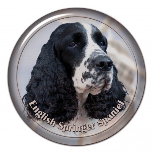 3D sticker English Springer Spaniel 103 C