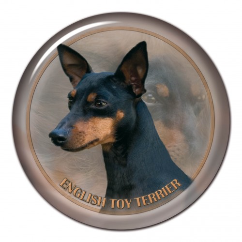 3D sticker English Toy Terrier 101 C