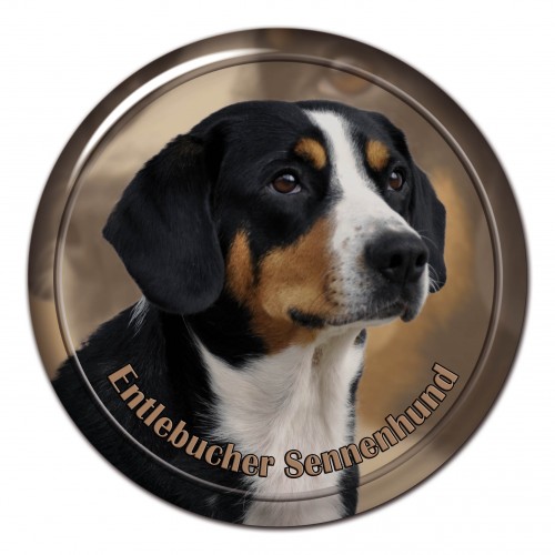 3D sticker Entlebucher Sennenhund 101 C