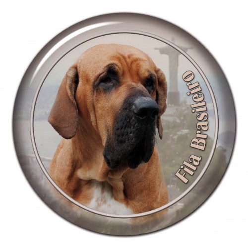 3D sticker Fila Brasileiro 101 C