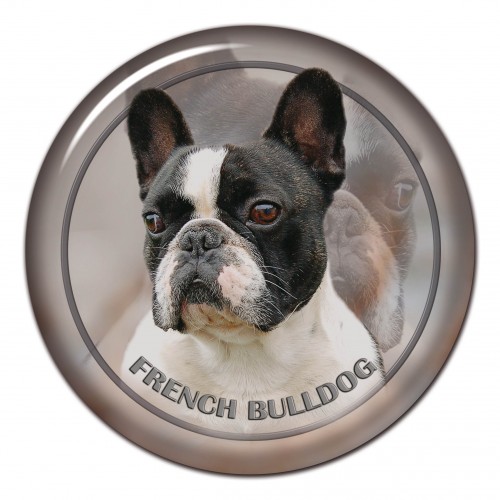 3D sticker French Bulldog 102 C
