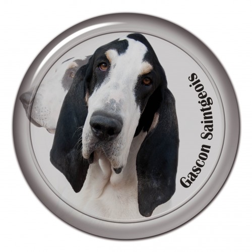3D sticker Gascon Saintgeois 101 C