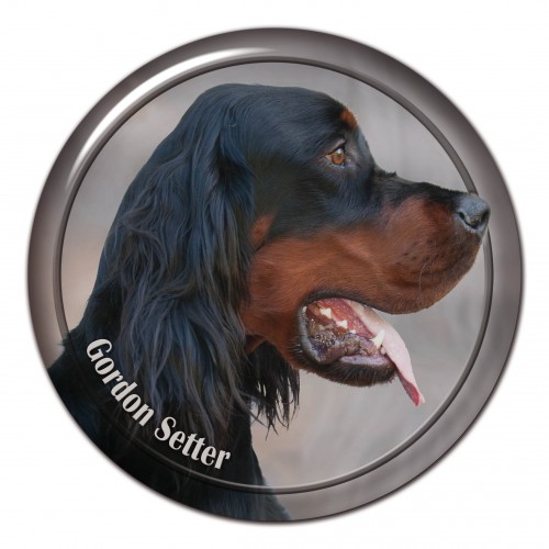 3D sticker Gordon Setter 101 C