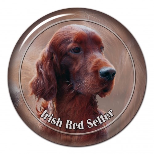 3D sticker Irish Red Setter 101 C