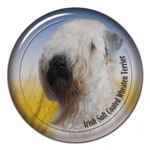 3D sticker Irish Soft Coated Wheaten Terrier 101 C
