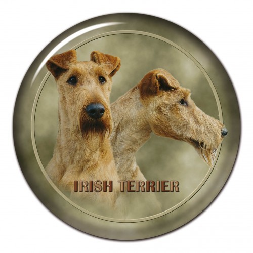 3D sticker Irish Terrier 139 101 C
