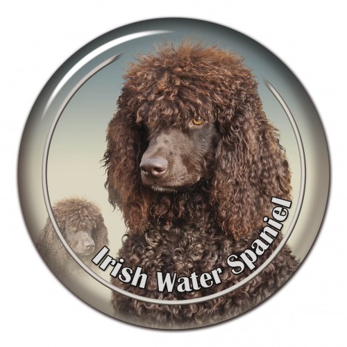 3D sticker Irish Water Spaniel 101 C