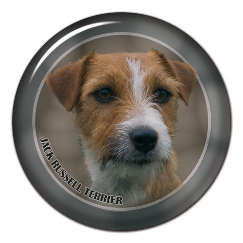 3D sticker Jack Russell Terrier 102 C