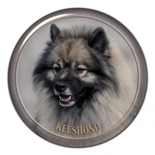 3D sticker Keeshond 101 C