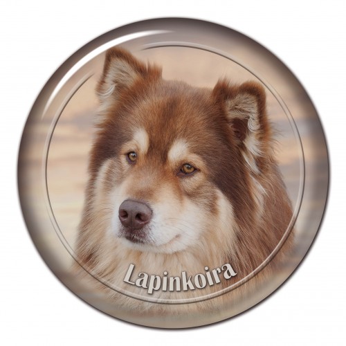 3D sticker Lapinkoira 101 C