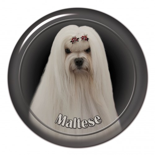 3D sticker Maltese 101 C