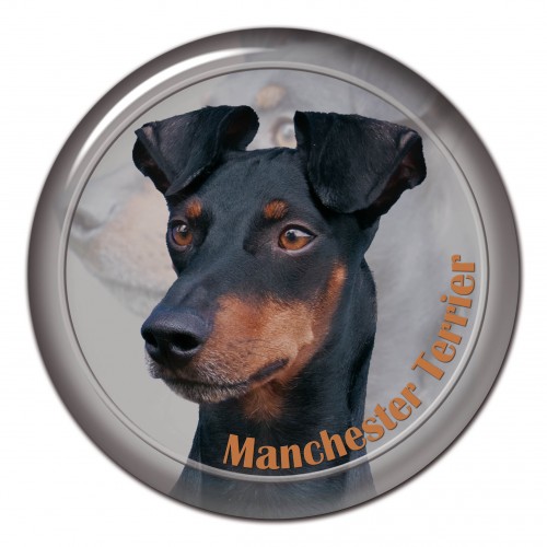 3D sticker Manchester Terrier 101 C