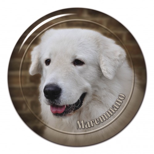 3D sticker Maremmano Abruzzese 101 C