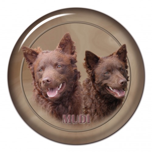 3D sticker Mudi 101 C