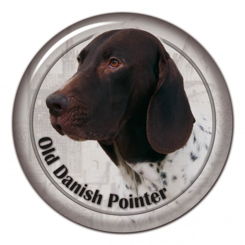 3D sticker Old Danish Pointing Dog 101 C
