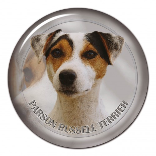 3D sticker Parson Russell Terrier 101 C