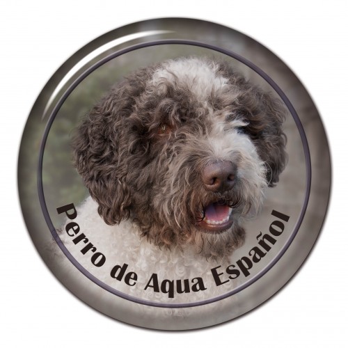 3D sticker Perro De Aqua Espanol 101 C