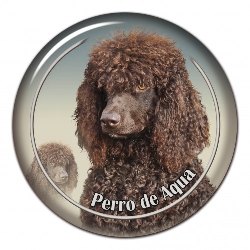 3D sticker Perro De Aqua Espanol 102 C