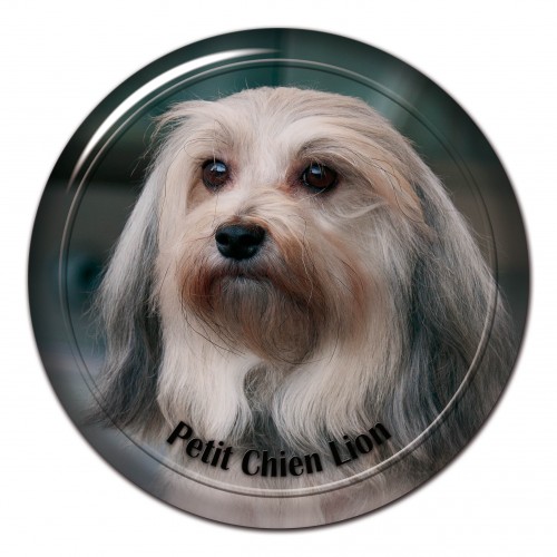 3D sticker Petit Chien Lion 101 C