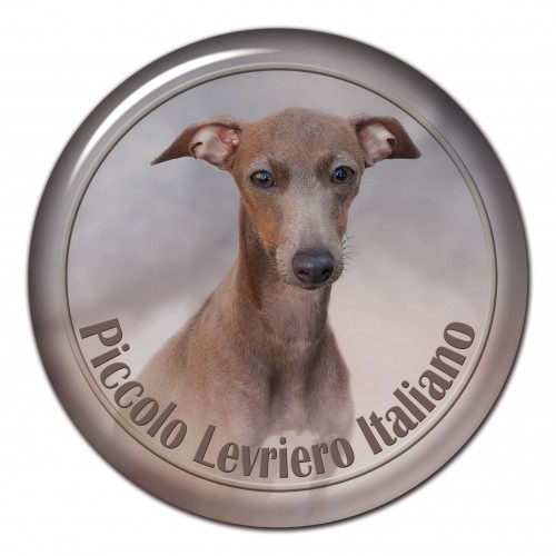 3D sticker Piccolo Levriero Italiano 101 C